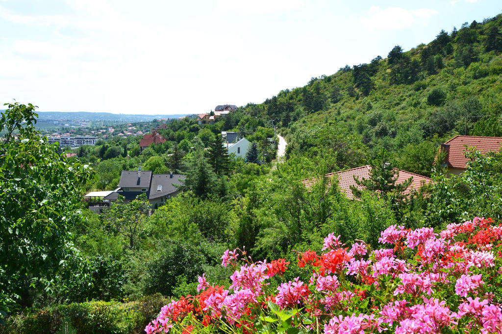 Anna Apartment Budaörs Екстериор снимка